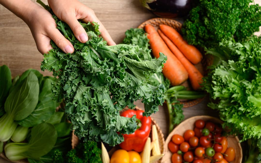 PLANT BASED COOKING